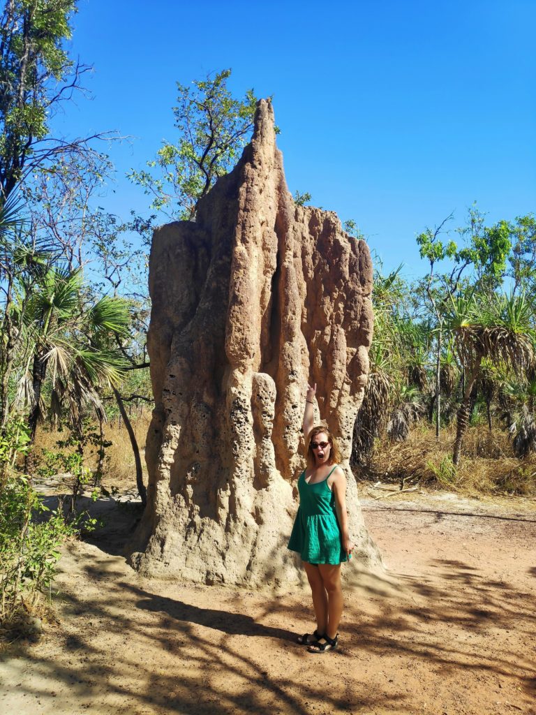 termitas en Litchfield National Park